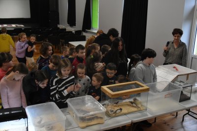 Ferie z Domem Kultury 2023